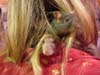 rats_in_hair